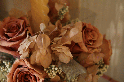 d0100192_20114613.gif