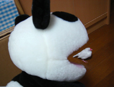 e0015195_1324359.jpg