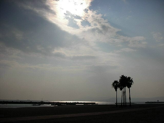 f0083400_13401792.jpg