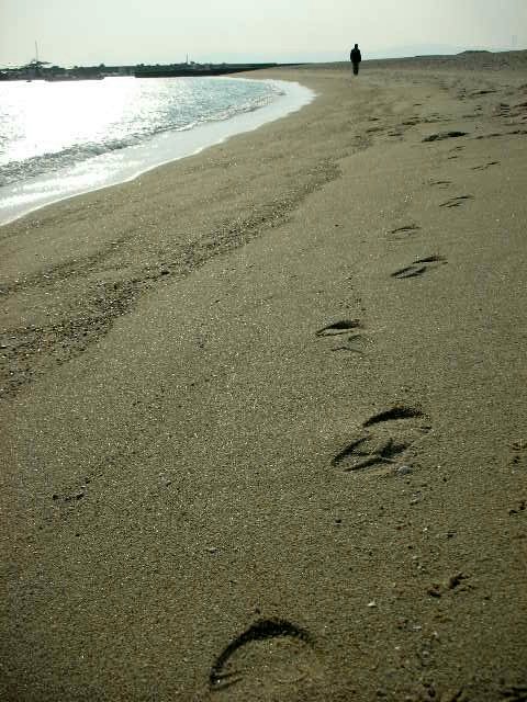 f0083400_13464510.jpg