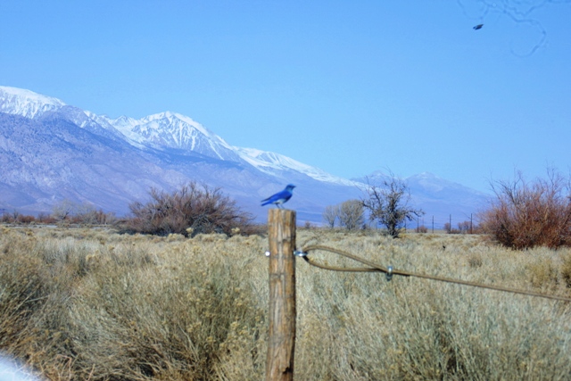 c0062603_15225844.jpg