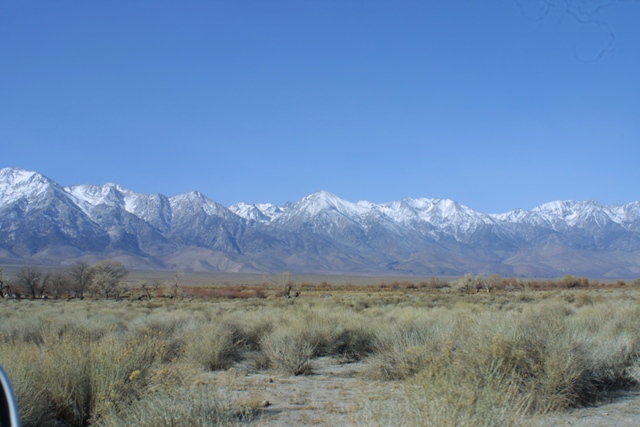c0062603_15233651.jpg