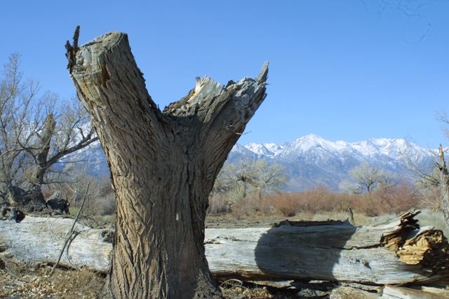 c0062603_1524984.jpg