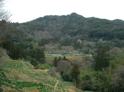 c0073016_0263377.jpg