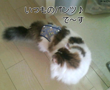 a0090729_1925870.jpg