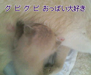 a0090729_1951568.jpg