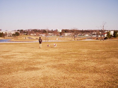 b0006329_153262.jpg