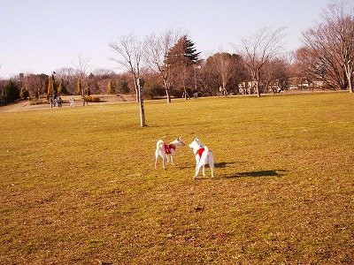 b0006329_23022.jpg