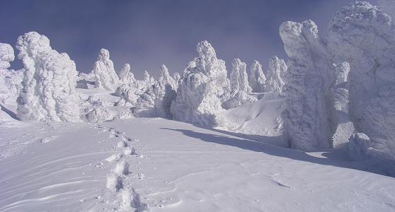 f0118332_22323922.jpg
