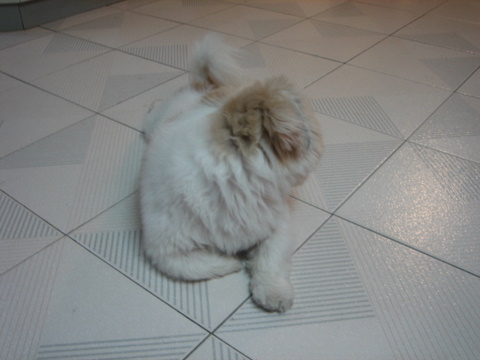 e0018143_0593336.jpg