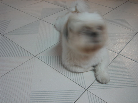 e0018143_103254.jpg