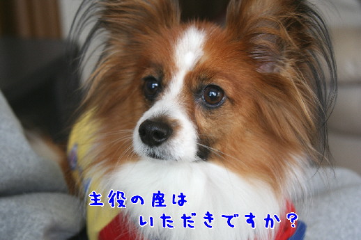 d0013149_1114917.jpg