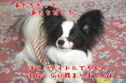 d0013149_1162516.jpg