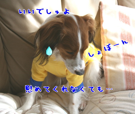 d0013149_134343.jpg