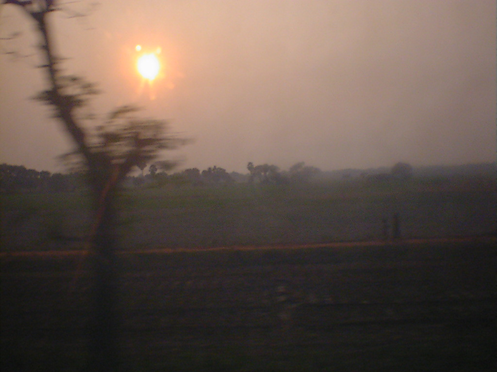 b0099851_15007.jpg