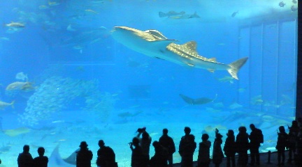 f0082052_12554660.jpg