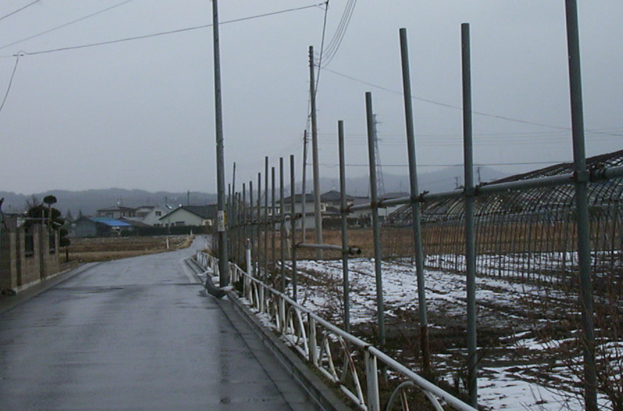 a0029157_14403211.jpg