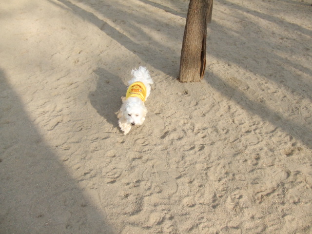 b0103668_20592224.jpg