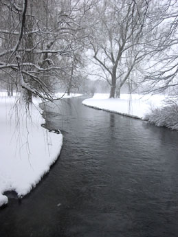 f0032969_16105290.jpg