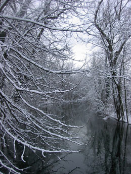 f0032969_16113970.jpg