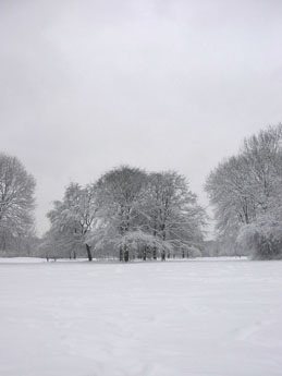 f0032969_1681067.jpg