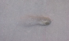 b0039373_21152820.jpg
