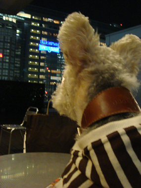 b0091373_132468.jpg