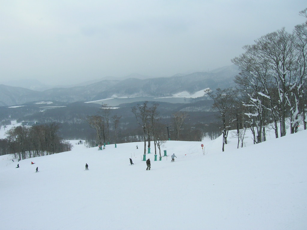 e0058477_20253544.jpg