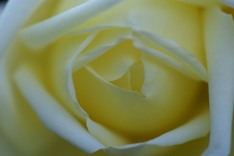 d0079278_23103187.jpg