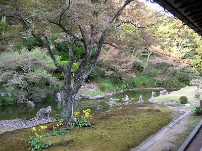 f0004581_11135640.jpg