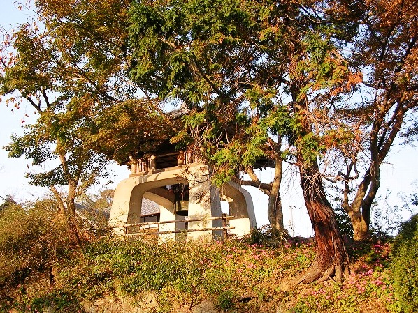 f0004581_11144542.jpg
