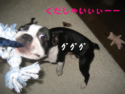 c0092787_12243394.jpg