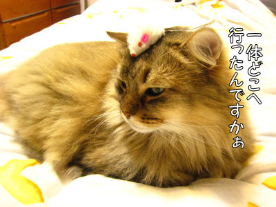 a0045990_1175791.jpg