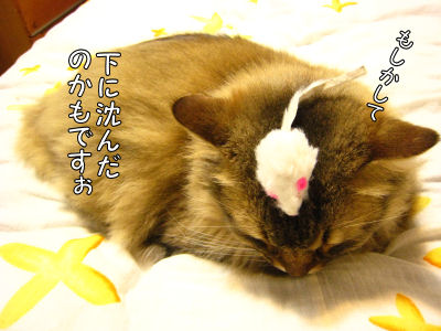 a0045990_1184711.jpg