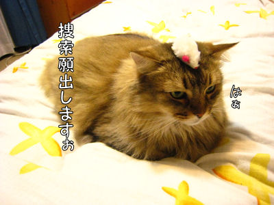 a0045990_1262882.jpg