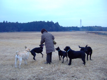 f0001698_23494075.jpg