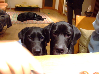 f0001698_2355363.jpg