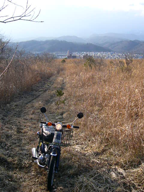 b0050305_17554311.jpg