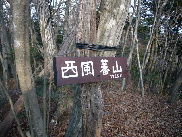 b0050305_18101396.jpg