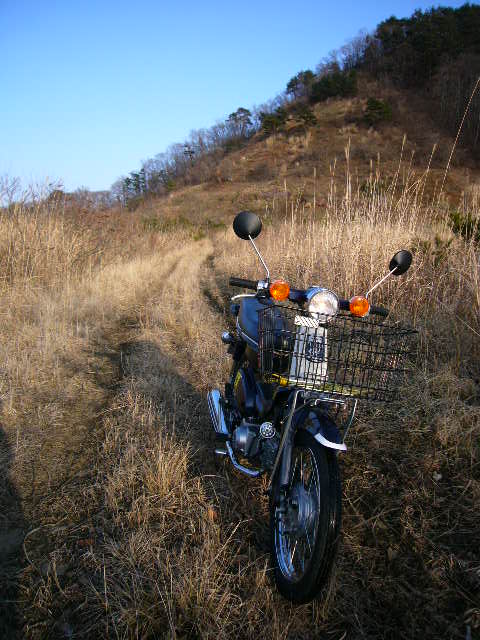 b0050305_18126.jpg