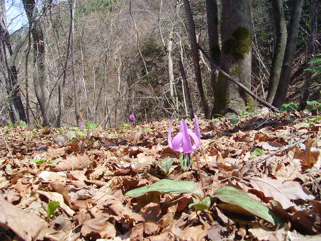 b0050305_183343100.jpg