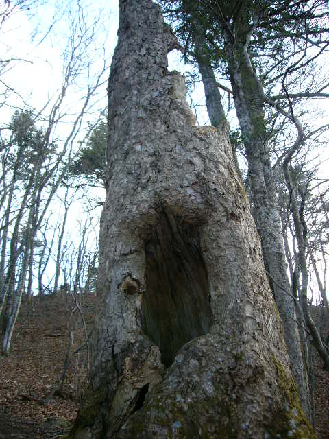 b0050305_1881854.jpg