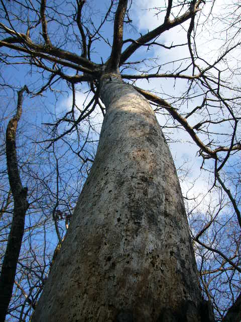 b0050305_1883329.jpg