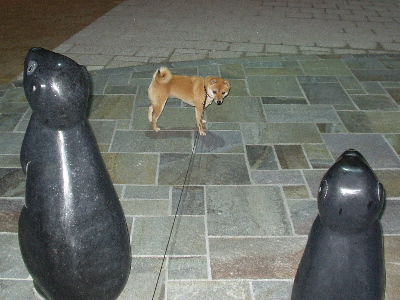 f0004309_2364813.jpg