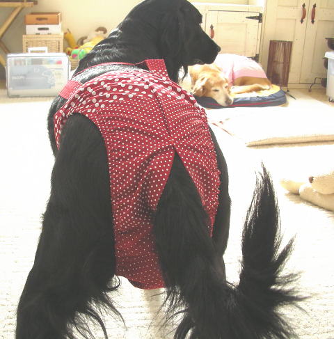 c0017311_10582193.jpg