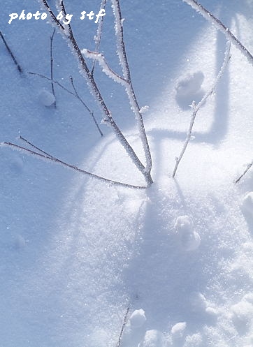 f0030527_11242698.jpg