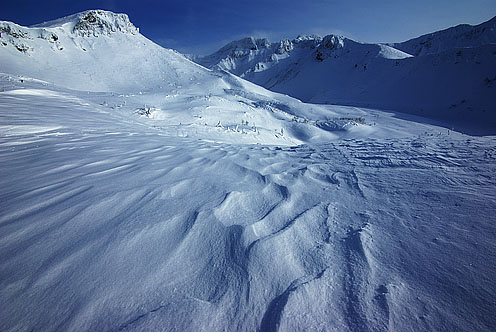 e0025030_18312428.jpg