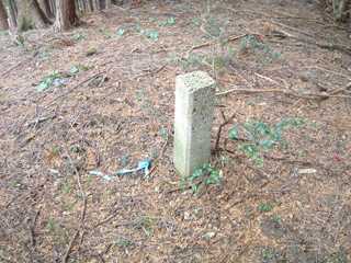 c0077338_1742326.jpg