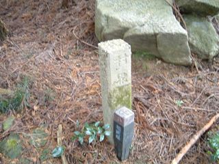 c0077338_1743320.jpg
