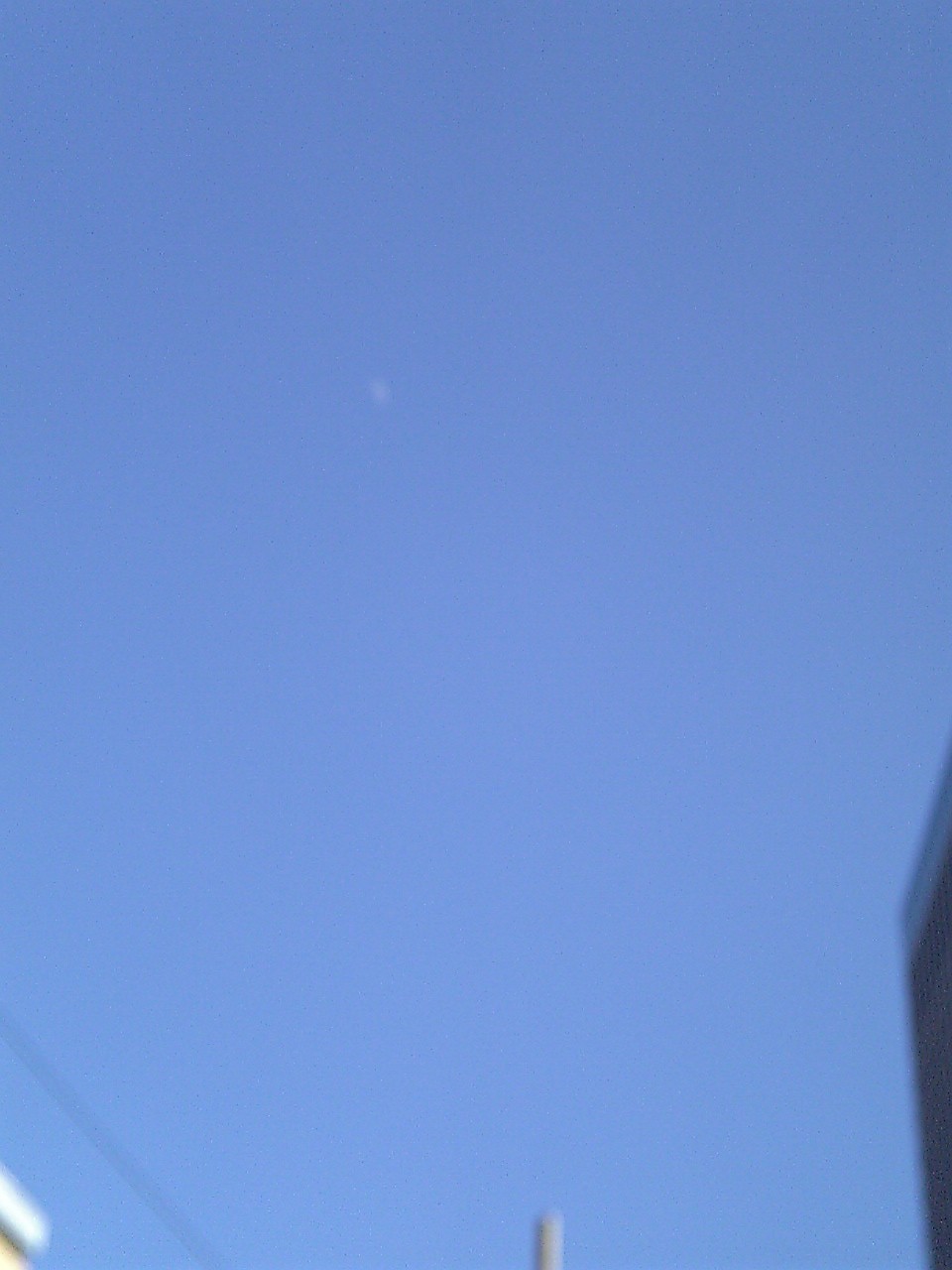 b0099274_4312260.jpg